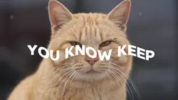 you know keep doing 