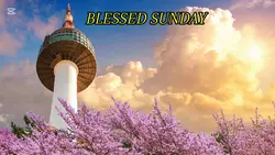 blessed SUNDAY