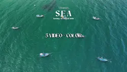 Vlog Sea