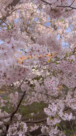 Spring