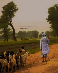 saraki song 