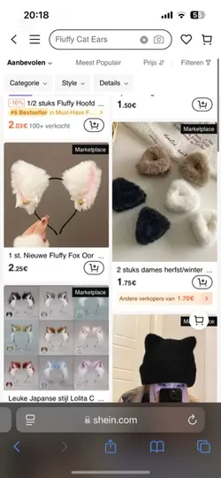 Fun things to do