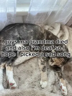 i’m deaf