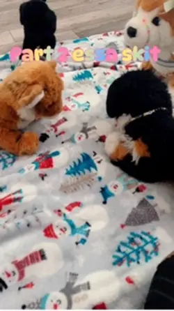 Part 2 Essa Skit