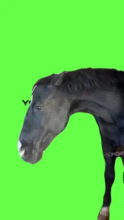 tiktok viral 