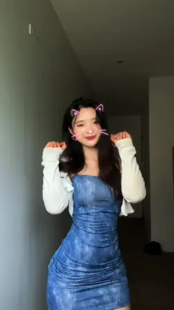 montagem miau 