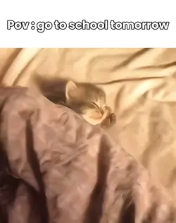 Pov