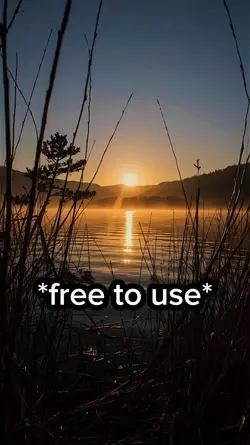 Free to use video 