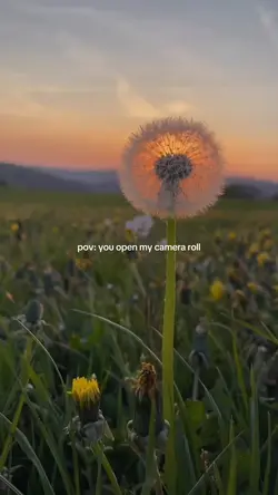 Open My CameraRoll