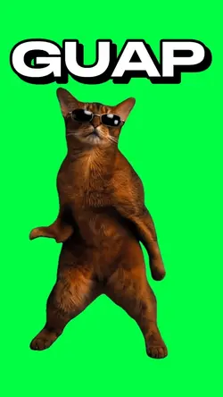 GUAP DANCING CAT