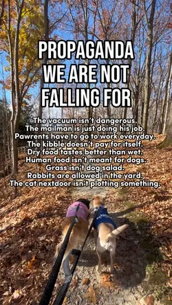 Dog Propaganda 🏆