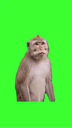Apex monkey dance