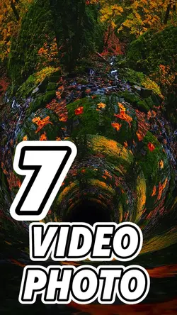 7 clip or photo 