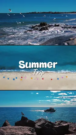SUMMER TRIP