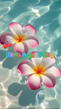 Have a good day 