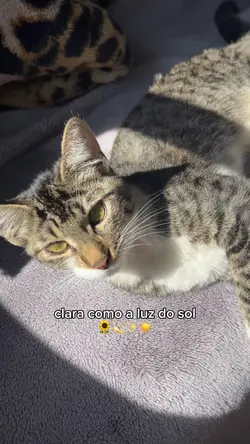 clara como luz sol ☀️