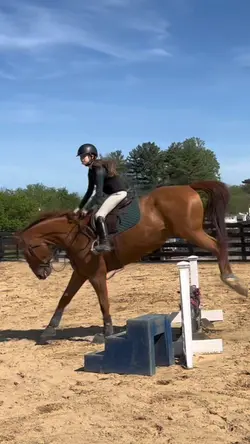 Ok eq did not eat 