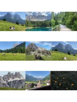 Aesthetic collage