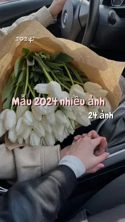 24 ảnh 2024