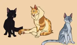 warrior cats edit