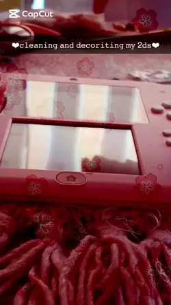 cleaning my 2ds 