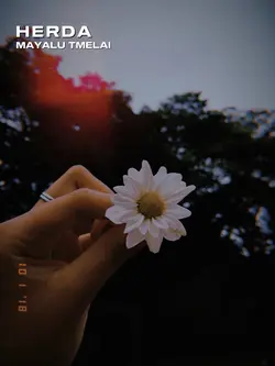 Ma haraye 