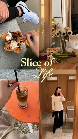 SLICE OF LIFE