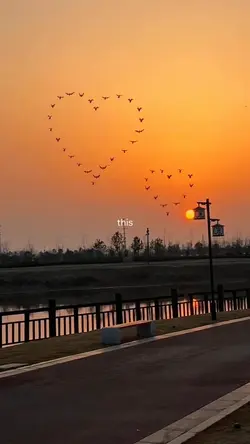 Sunset View