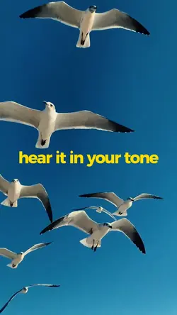 music video