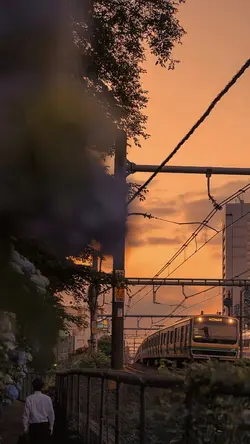 aesthetic