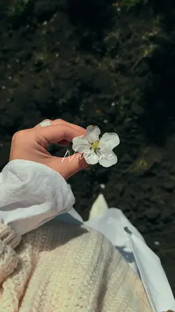 nature vibes