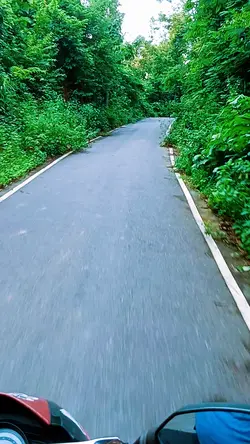 nature view