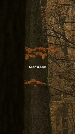 Allah çok bağışlar..