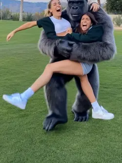 kingkong ai