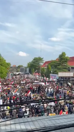 demo di pati