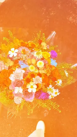 5 Flower Clips