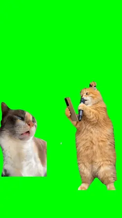 CAT SING JB BABY