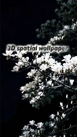 3D spatial wallpaper