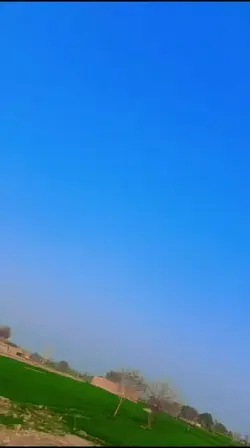 viral video