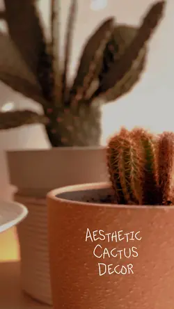 Aesthetic Cactus 🌵