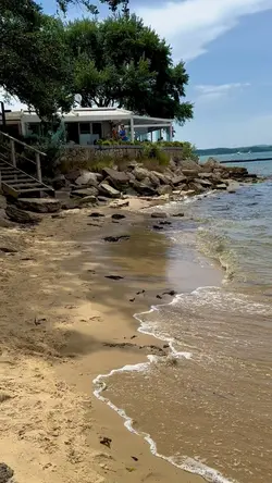 Beach Life