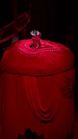 Lasy Gaga concert 