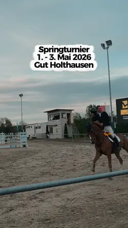 equestrian ad 