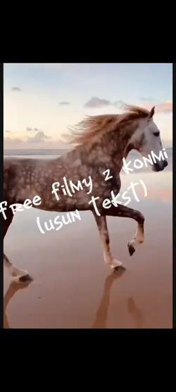 free tło z końmi 