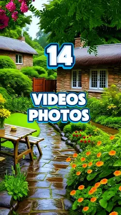 14 videos photos 