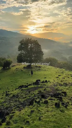 where are you going