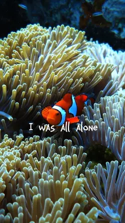 I was all alone
