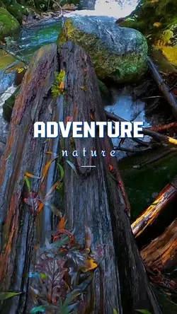 Adventure