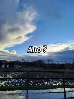Allo? mon amour