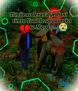 Sad love Story 